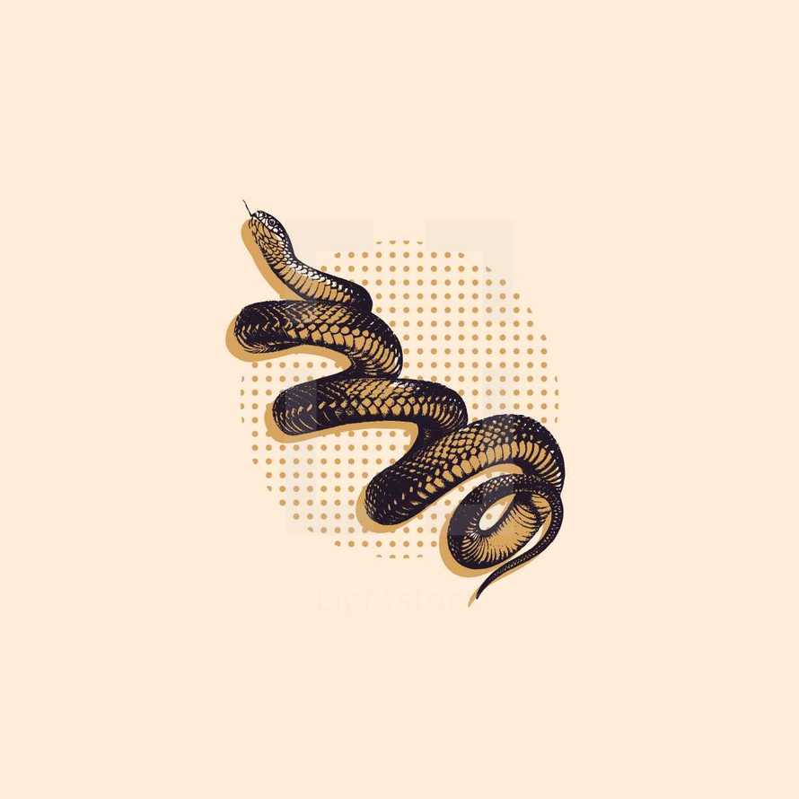 snake 
