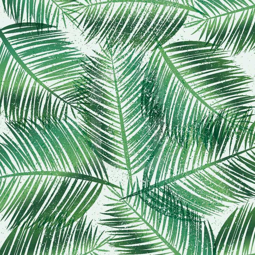 palm leaf background 