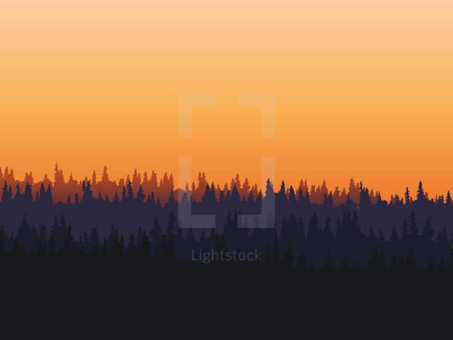 forest at sunset illustration background 