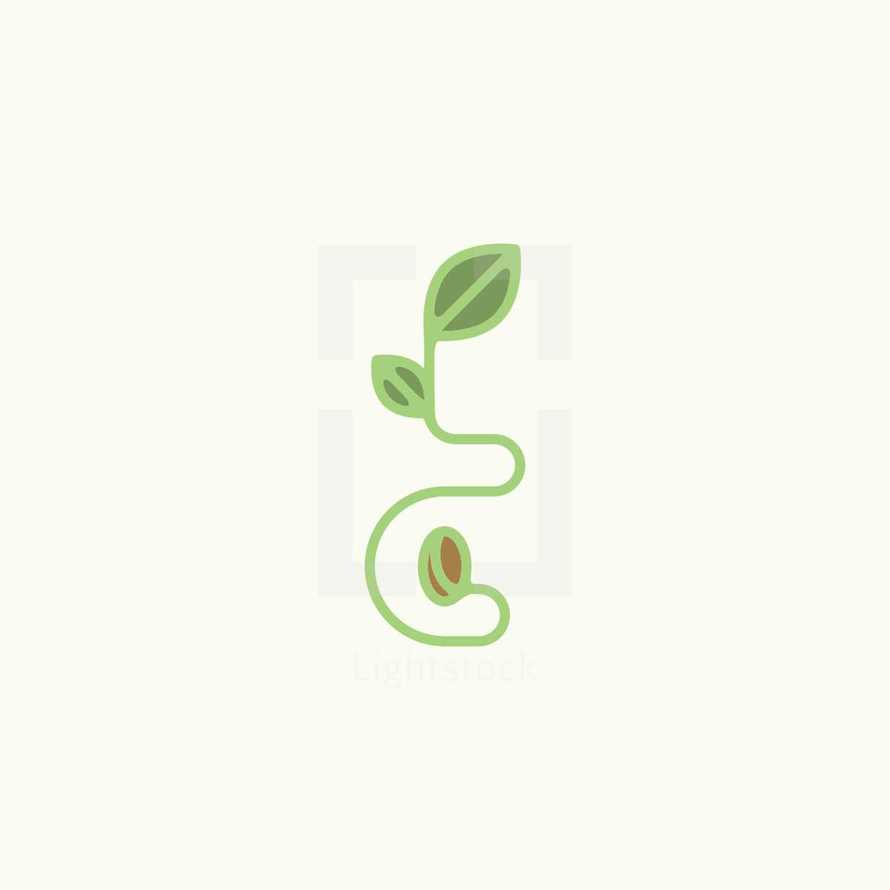 seed and growth icon