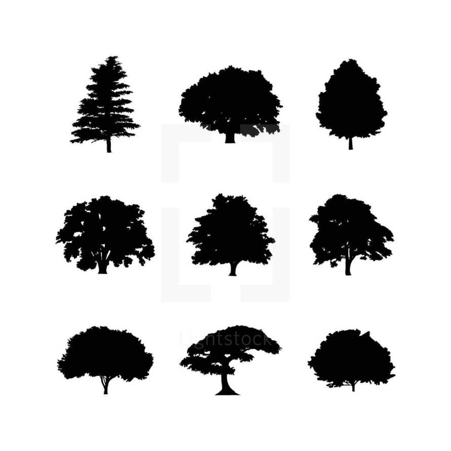 Set of vector tree silhouettes.
