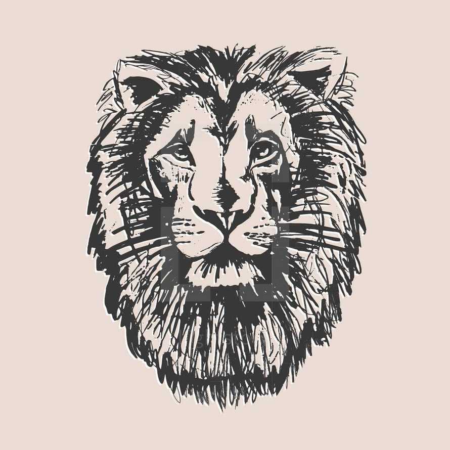 lion head illustration. 