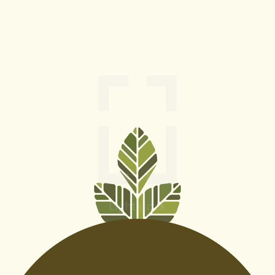 growth concept, plant on hill 