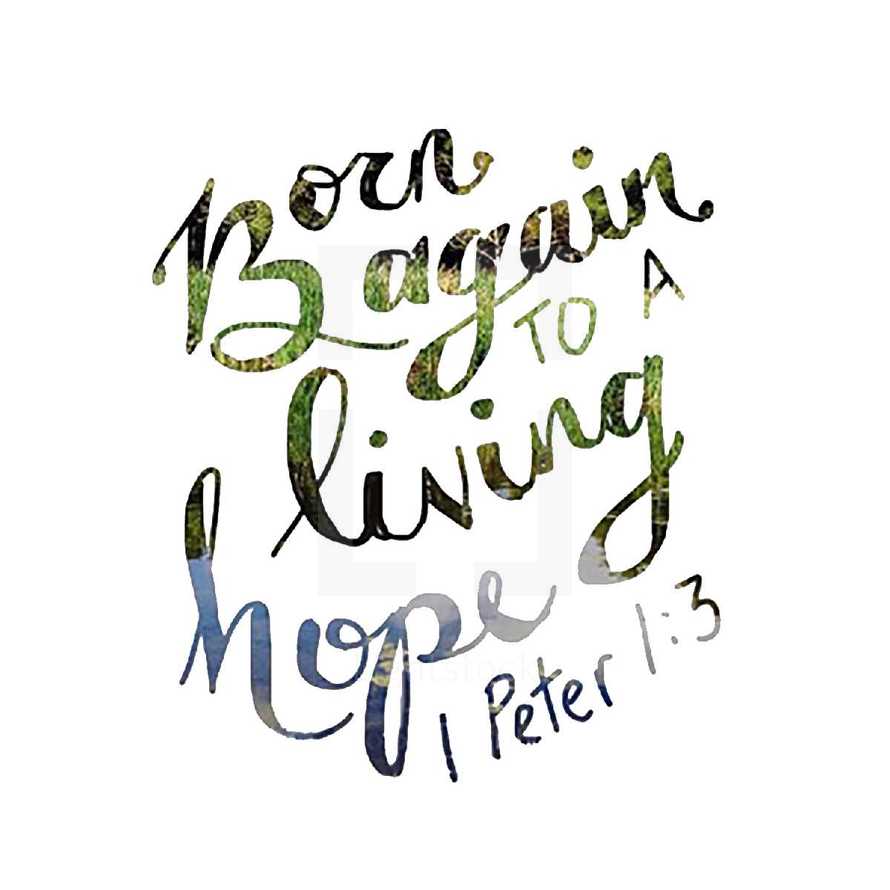 Born Again to a living Hope 1 Peter 1:3