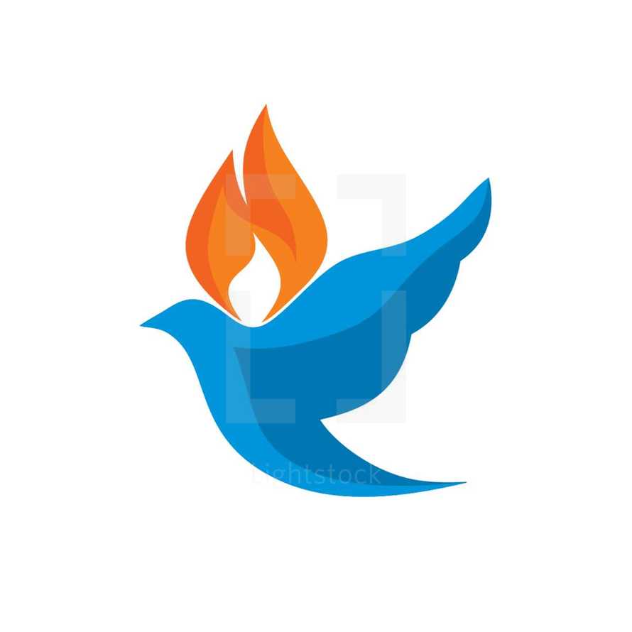dove with flames icon 