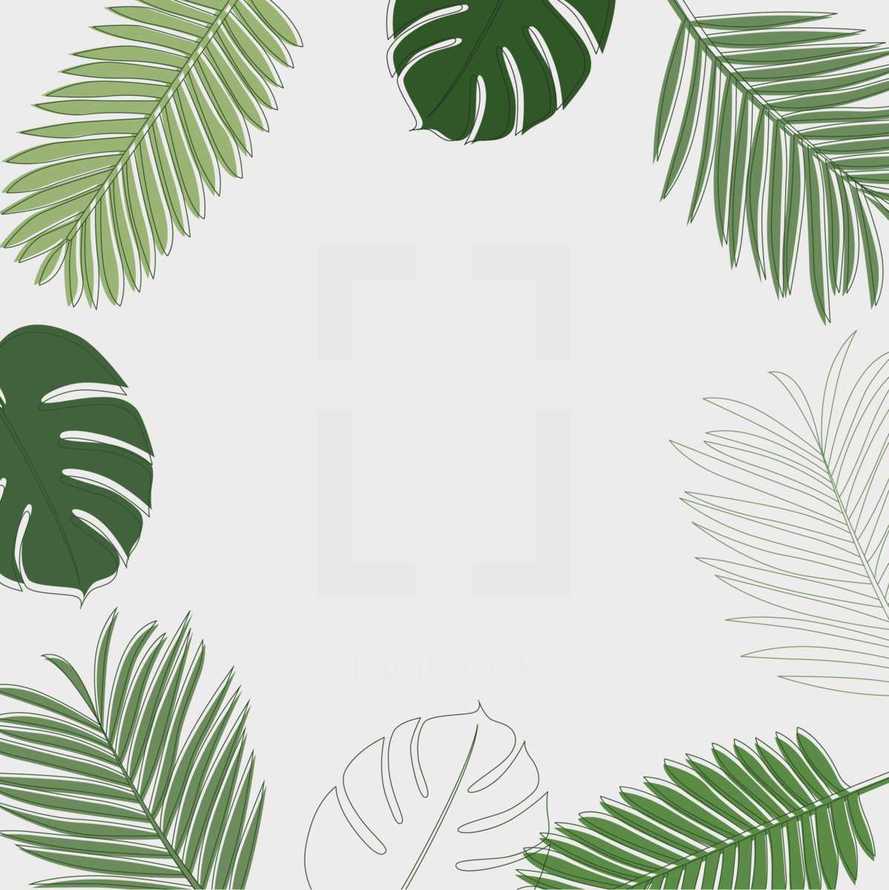 palm leaves border 