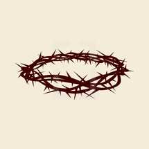 crown of thorns 