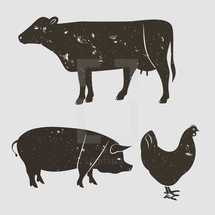 cow, pig, chicken, illustration