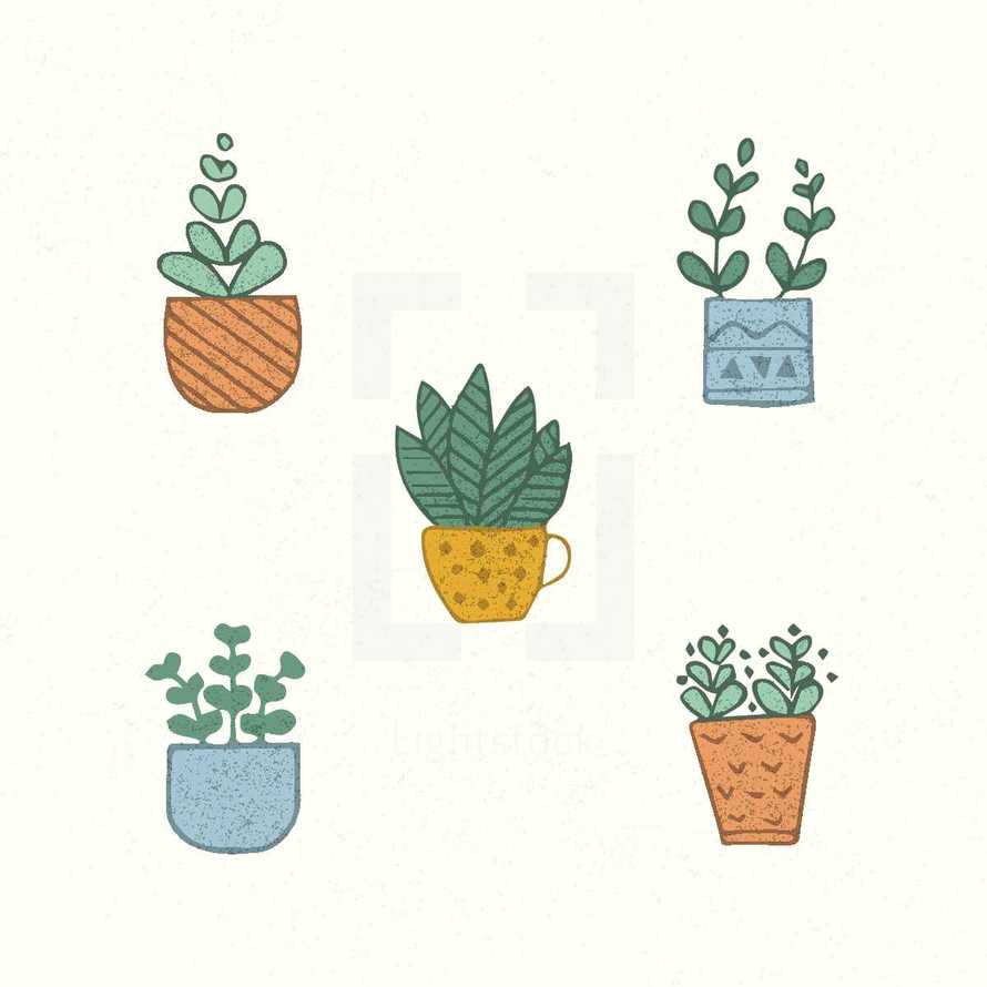 hand drawn potted plants 