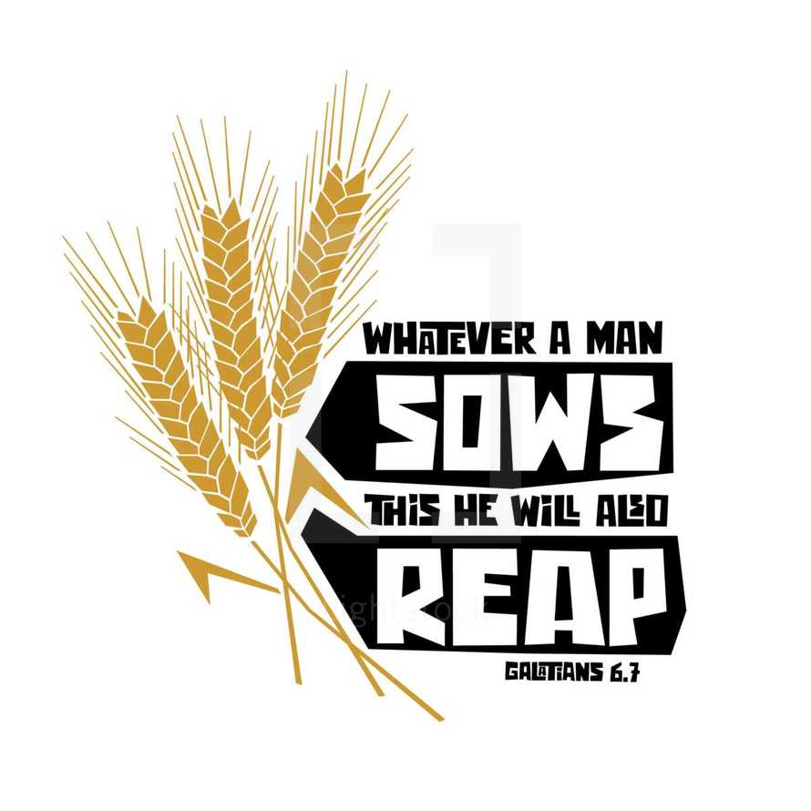 whatever a man sows this he will also reap, Galatians 6:7