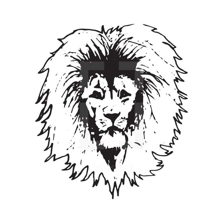 sketched lion head 