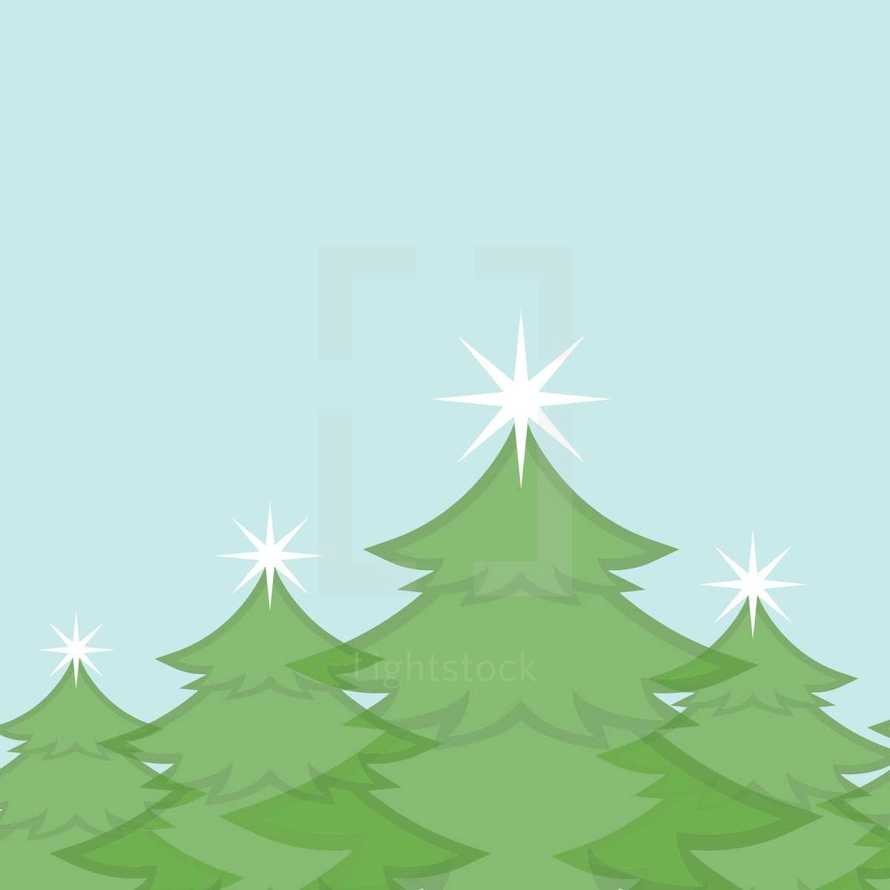 Christmas trees 