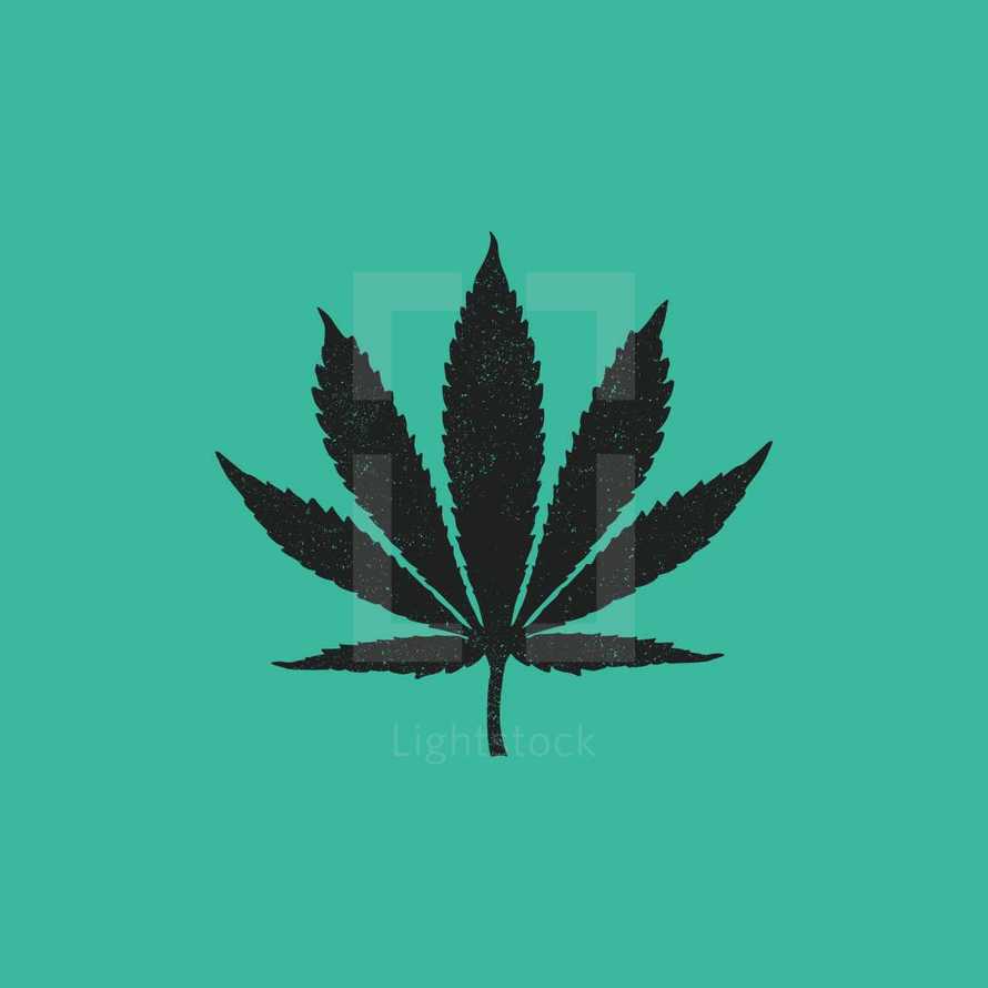 Marijuana leaf 