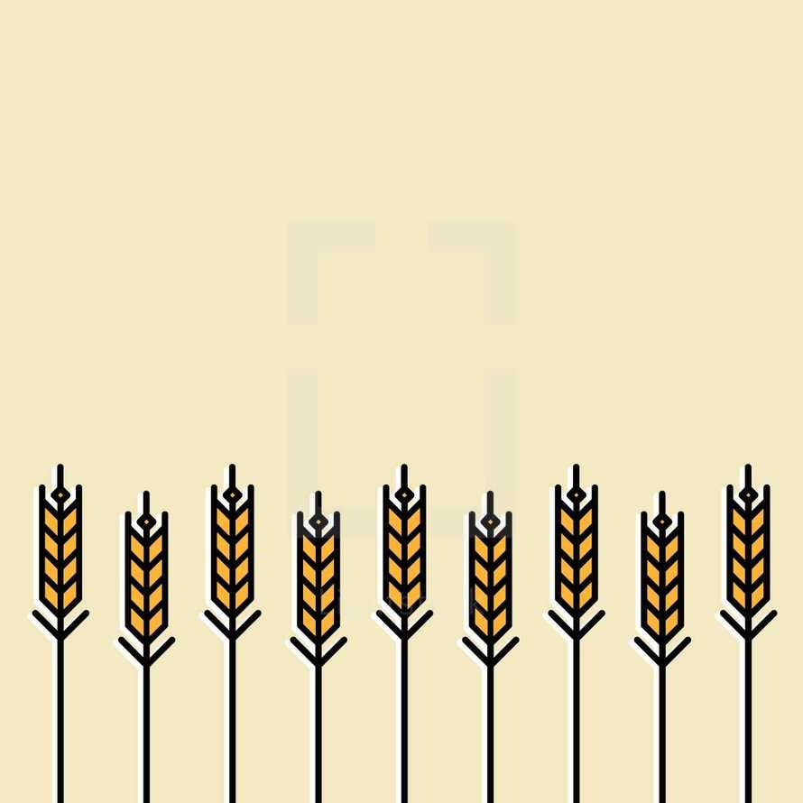 wheat grains border.