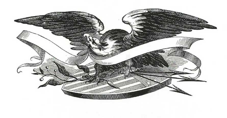 eagle, shield, banner, icon 