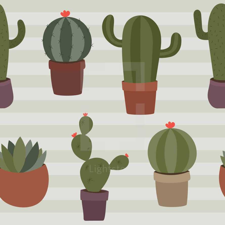 cactus illustration 