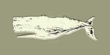 sketched whale illustration.