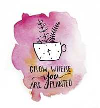 grow where you are planted 