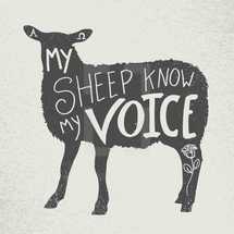 my sheep know my voice 