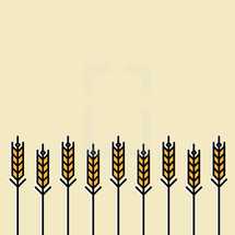 wheat grains border.