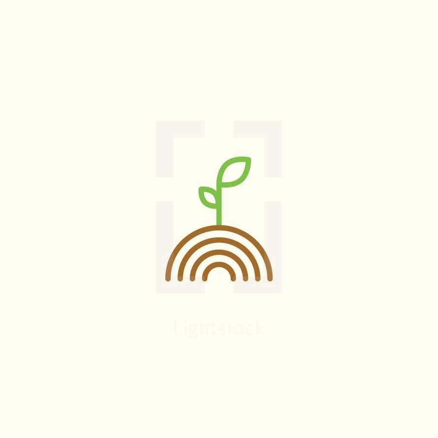 plant growth icon