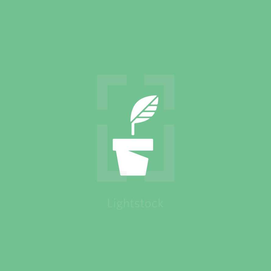 potted plant 
