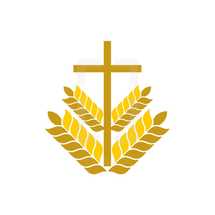 cross with wheat 