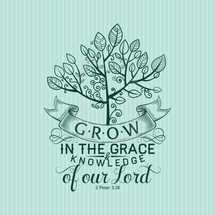 Grow in the grace and knowledge of our Lord 2 Peter 3:18