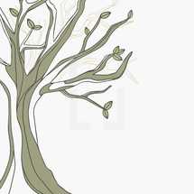 hand drawn tree illustration.