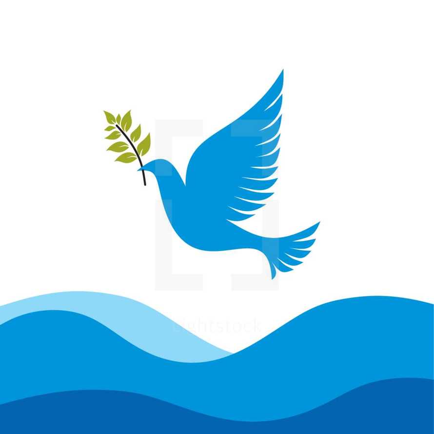 dove with olive branch over water 