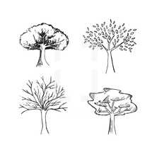 Hand drawn seasonal trees.