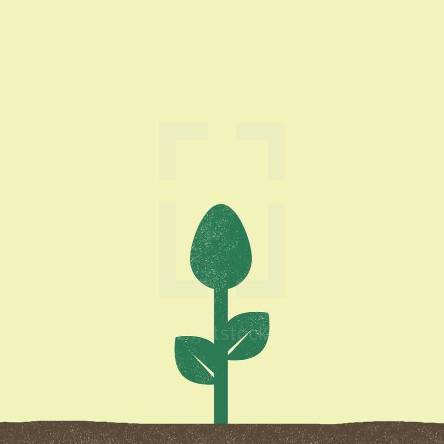 spoon plant icon