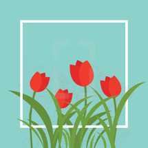 mother's day tulips in a frame.
