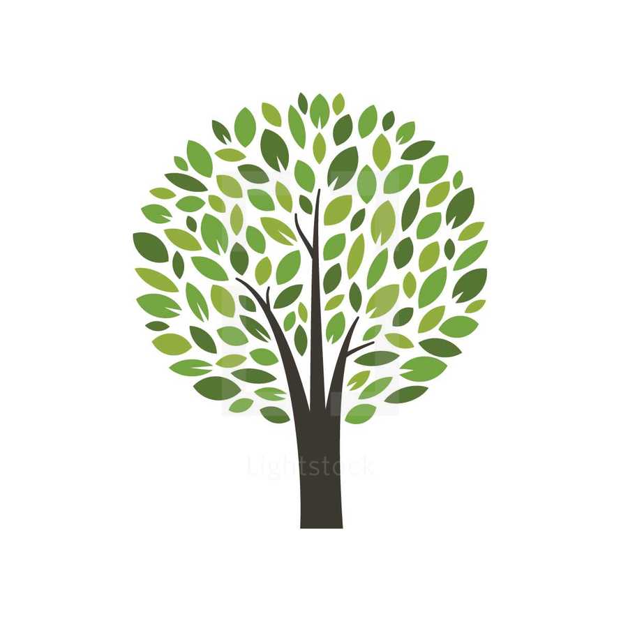 tree with leaves illustration 