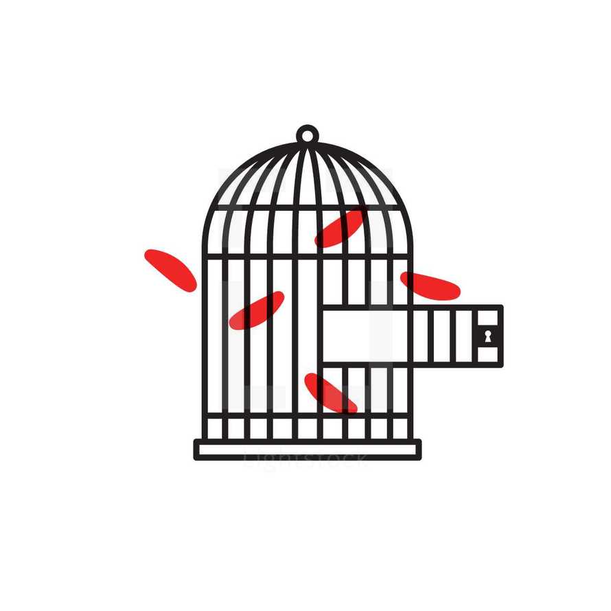 open bird cage 