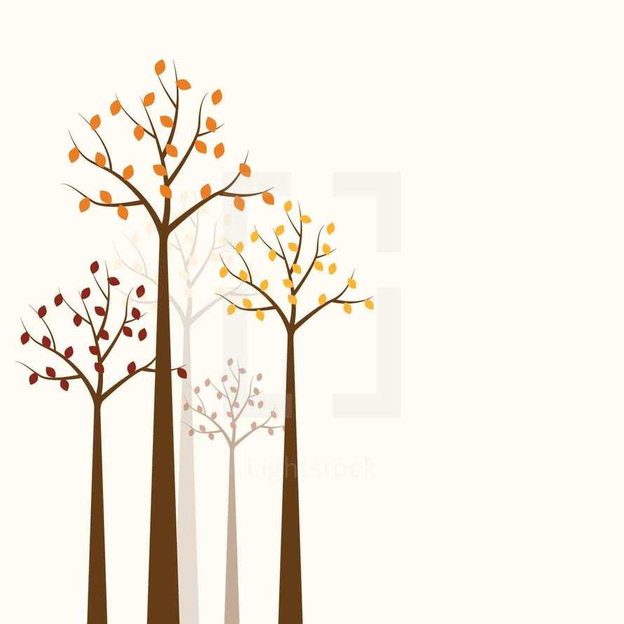 autumn trees illustration.