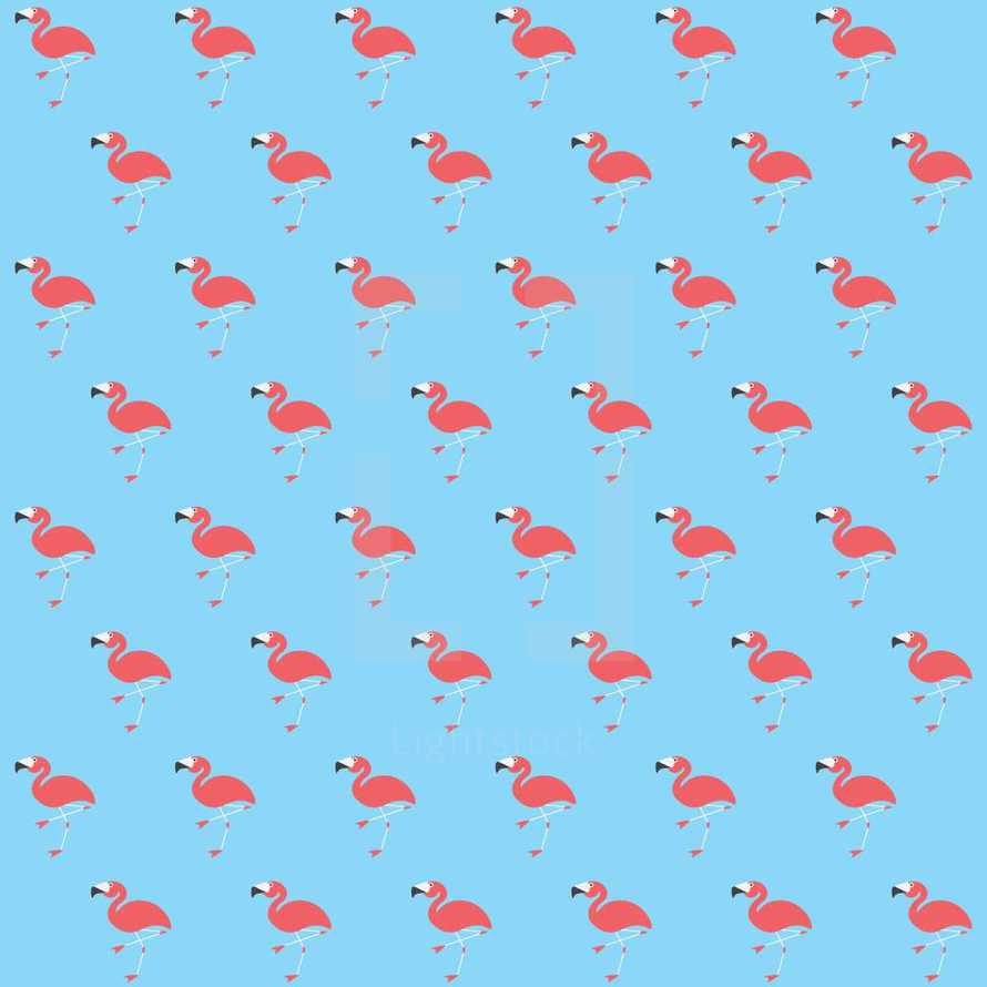 flamingo pattern 
