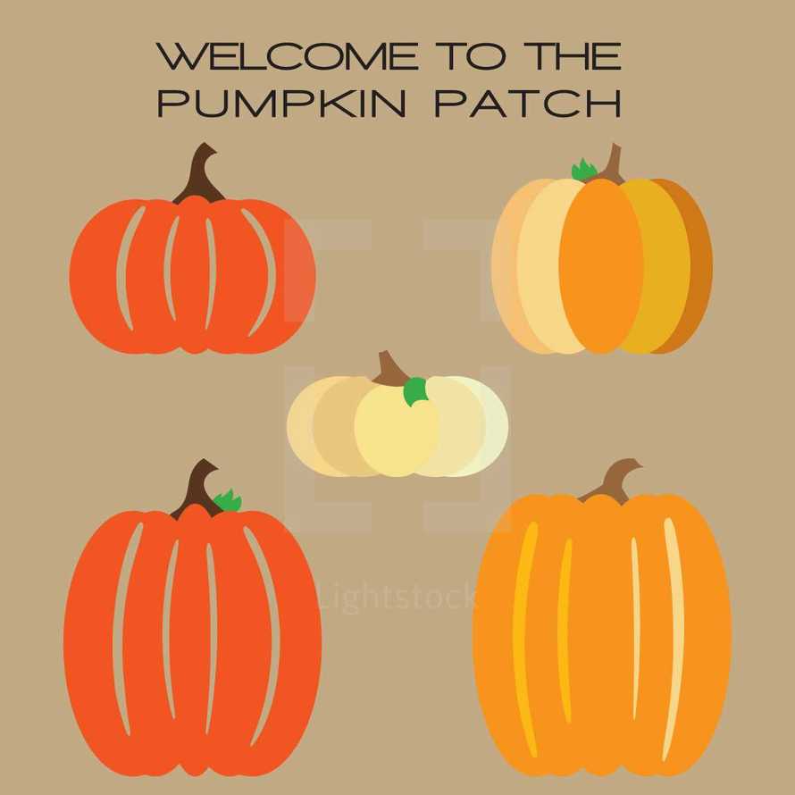 pumpkin patch 