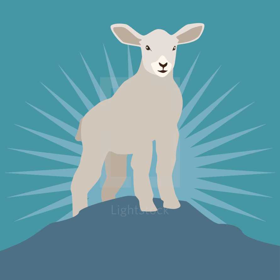 lamb on a mount 