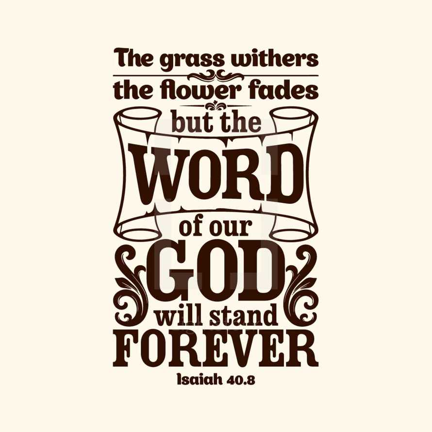 The Grass withers and the flower fades but the word of our God will stand forever, Isaiah 40:8