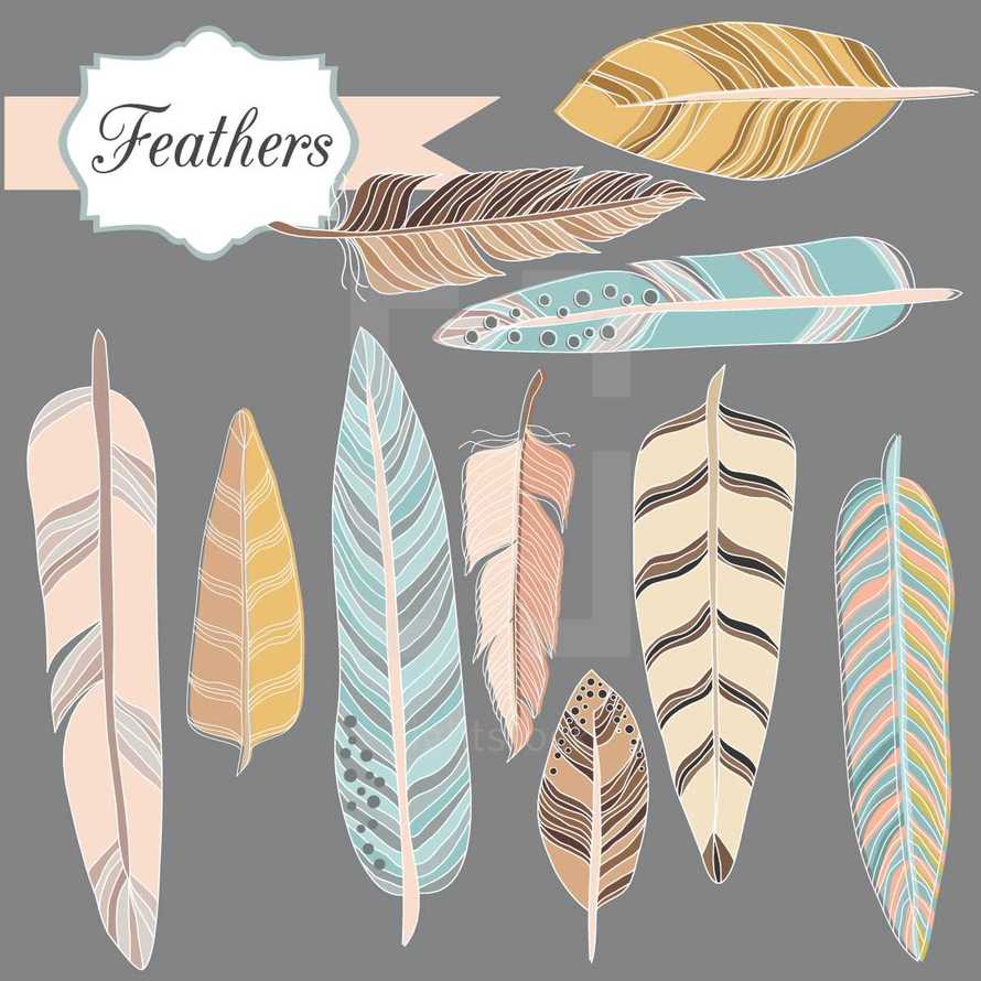 feathers icon set 
