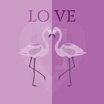 love flamingos 