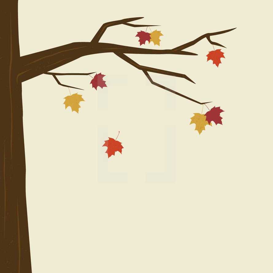 an autumn tree with falling leaves 