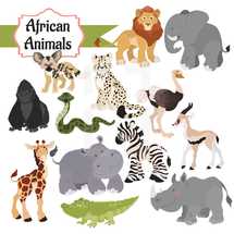 African Animals 