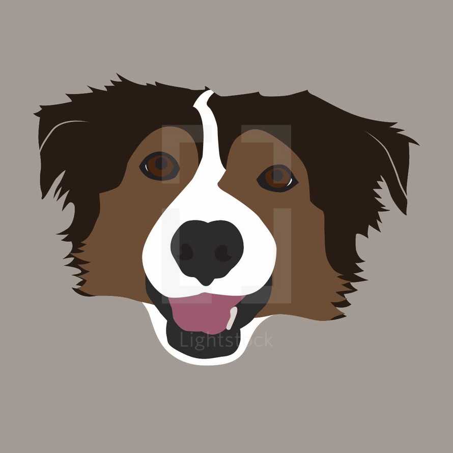 border collie dog illustration 