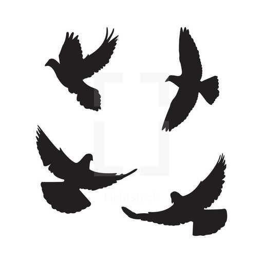Flying doves silhouette pack. — Design element — Lightstock