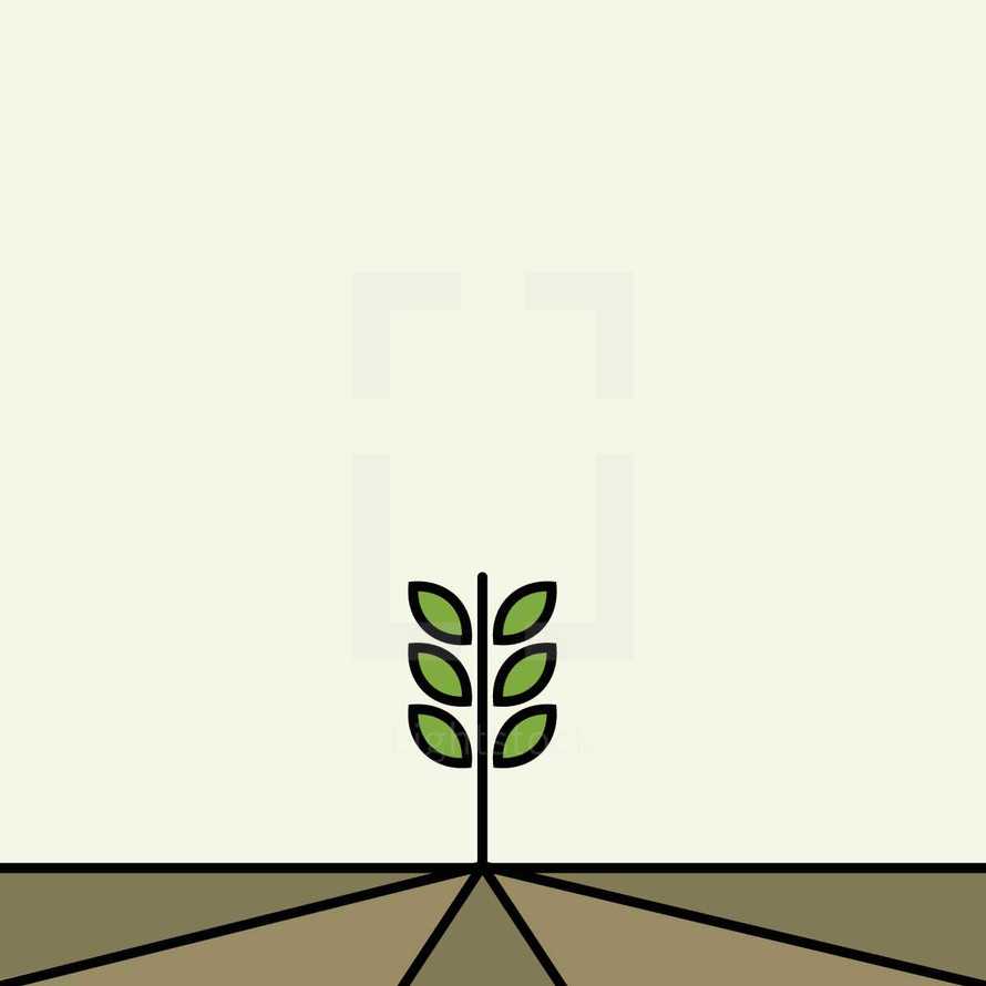 Growing plant illustration. 