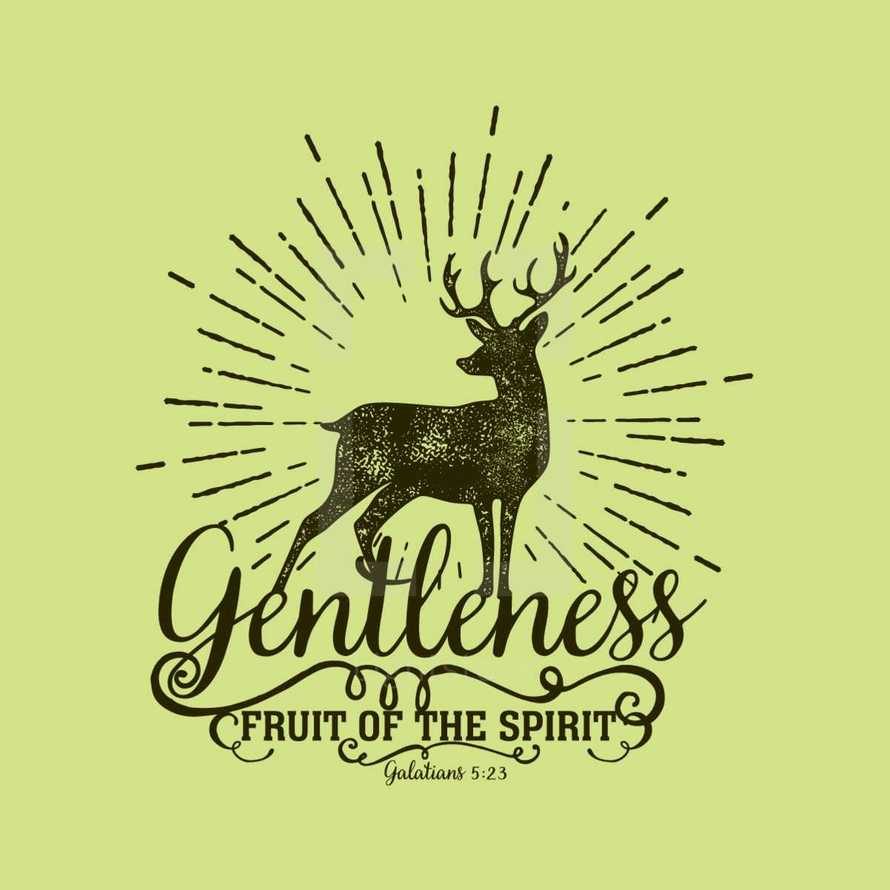 Fruit of the Spirit, Gentleness, Galatians 5:22