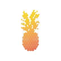 geometric pineapple illustration.