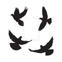 Flying doves silhouette pack.